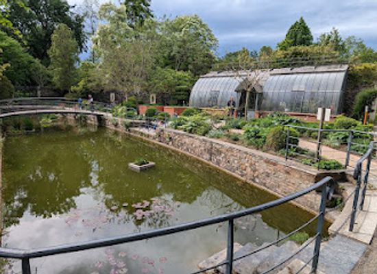 france/angers/attraction/parc-de-l-arboretum