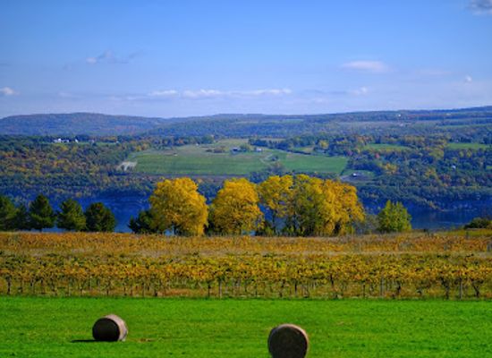 new-york/watkins-glen/attraction/castel-grisch-winery