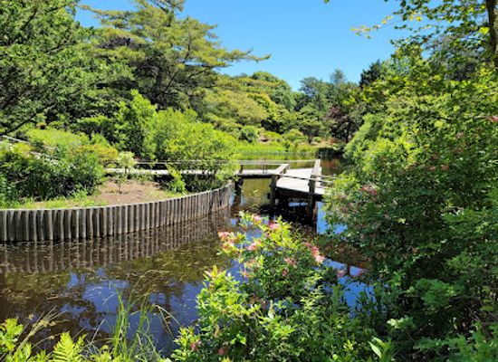 massachusetts/martha-s-vineyard/attraction/mytoi-japanese-garden