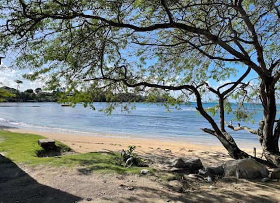 grenada/saint-andrew/attraction/true-blue-beach