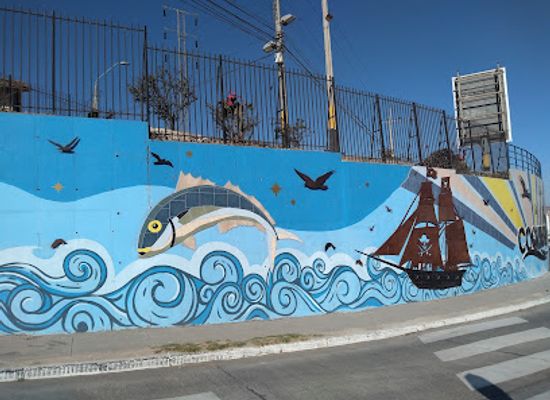 chile/coquimbo/attraction/mirador