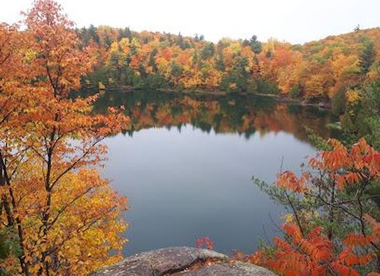 canada/ottawa/attraction/parc-de-la-gatineau