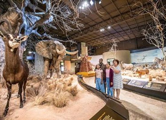 alabama/gadsden/attraction/anniston-museum-of-natural-history