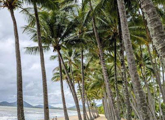 australia/cairns/attraction/palm-cove-beach