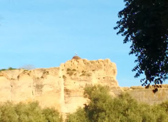 morocco/anti-atlas/attraction/mausoleum-of-moulay-ismail