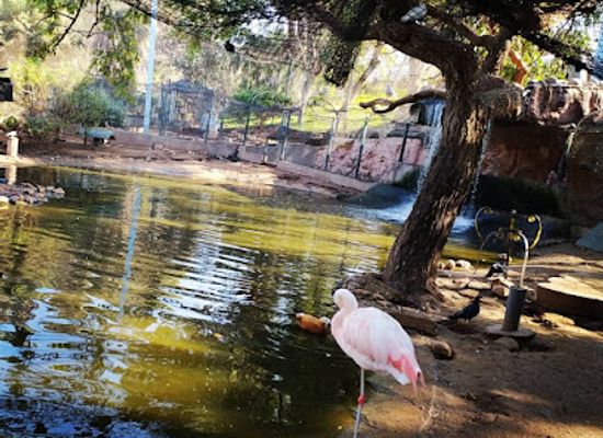 morocco/souss-massa/attraction/agadir-birds-valley