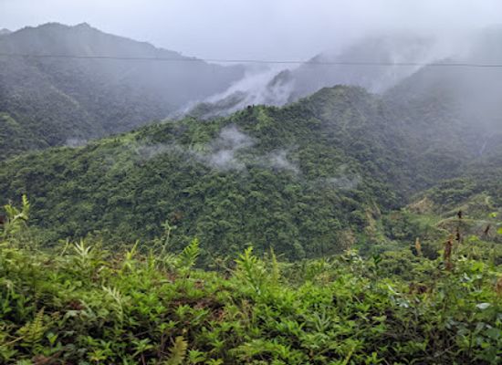 french-polynesia/windward-islands/attraction/tahiti-safari-expedition