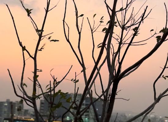 india/pune/baner/attraction/sunrise-point
