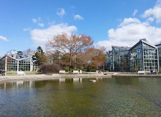 germany/frankfurt/attraction/tropicarium
