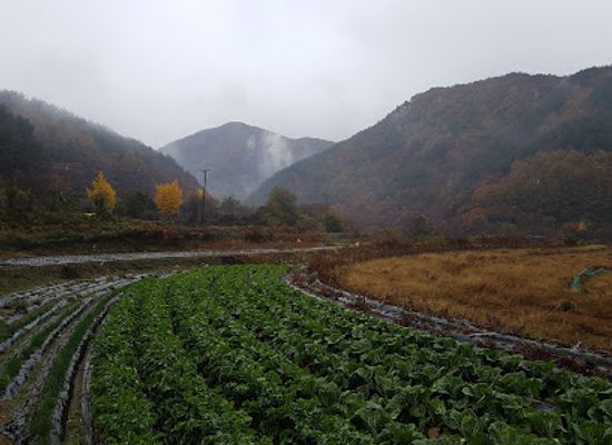 south-korea/hoseo-region/attraction/sudo-valley
