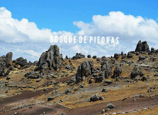 peru/puno-region/attraction/bosque-de-piedras-viudalumi