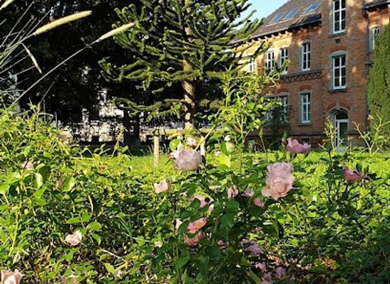 france/colmar/attraction/square-des-malgre-nous