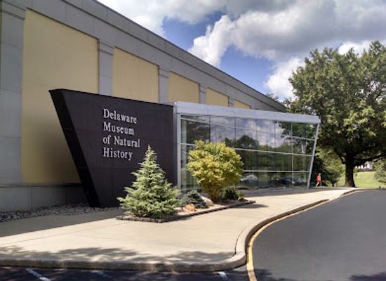 delaware/lums-pond-state-park/attraction/delaware-museum-of-nature-science