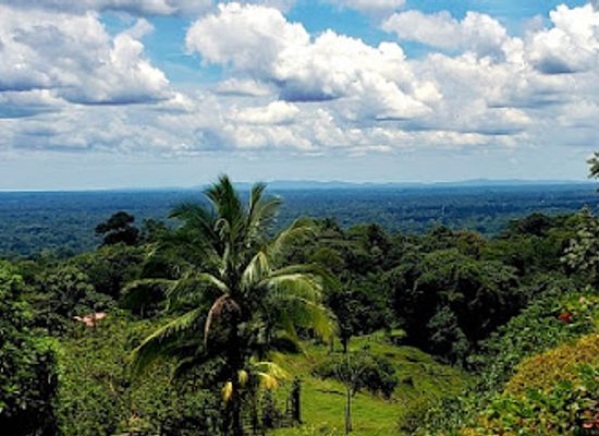 costa-rica/sarapiqui/attraction/mirador-prendas