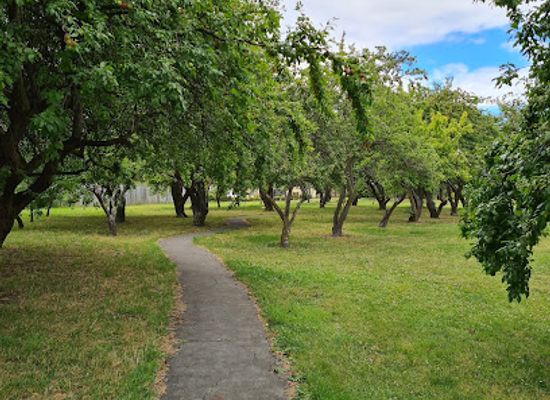 new-zealand/blenheim/attraction/mckendry-park