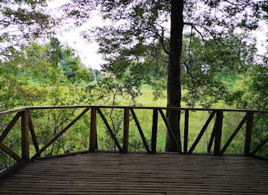chile/los-rios-region/attraction/parque-urbano-el-bosque