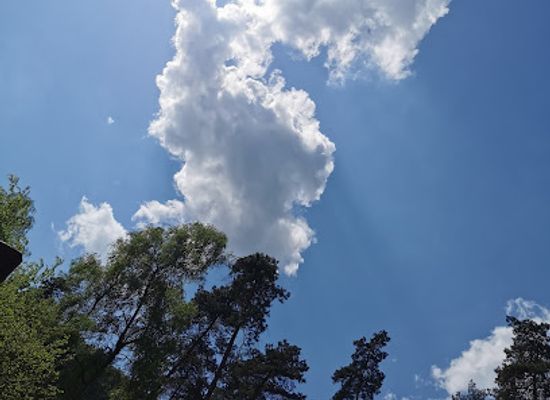 germany/teutoburg-forest/attraction/literarischer-wanderweg