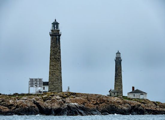 massachusetts/cape-ann/attraction/7-seas-whale-watch
