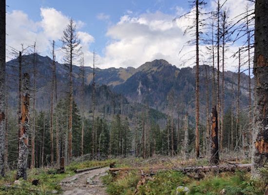 poland/tatra-mountains/attraction/mokradla