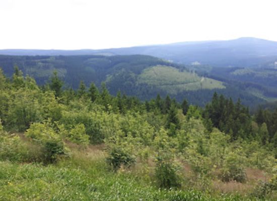 germany/thuringian-forest/attraction/jagdhaus-gabelbach