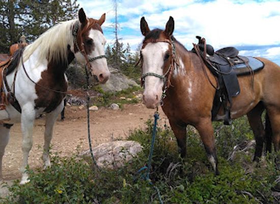 idaho/panhandle/attraction/mountain-horse-adventures