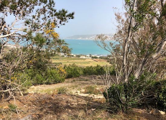 malta/ramla-bay/attraction/festival-hotel-old-ruins