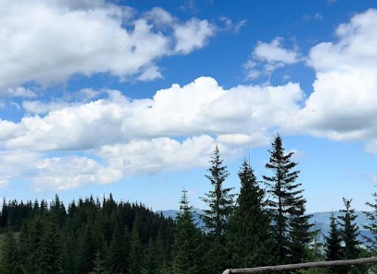 ukraine/hoverla-mountain/attraction/hoydalka