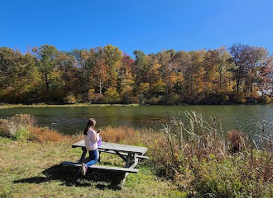 indiana/central-indiana/attraction/yellowwood-state-forest