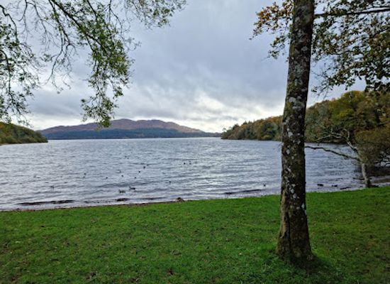 ireland/sligo/attraction/hazelwood-forest