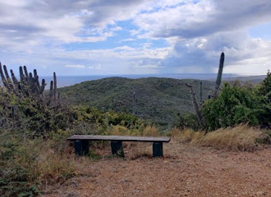 curacao/band-abou/attraction/viewpoint-plantation-knip