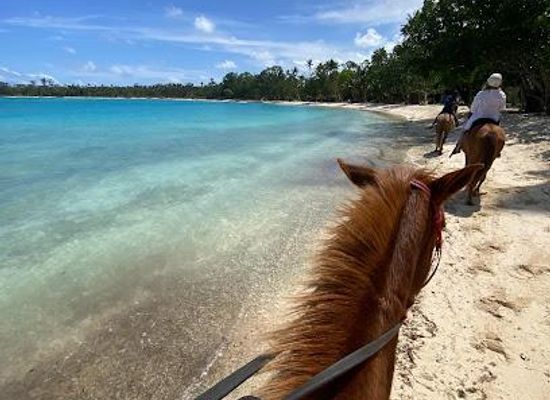 vanuatu/port-vila/attraction/club-hippique-adventure-park