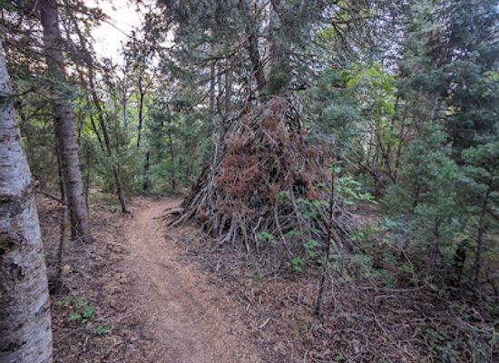 utah/uinta-wasatch-cache-national-forest/attraction/the-wooden-teepee-of-q-dub