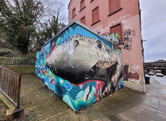 germany/aachen/attraction/streetart-by-cokyone