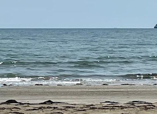 italy/venice/attraction/oasi-delle-dune-degli-alberoni