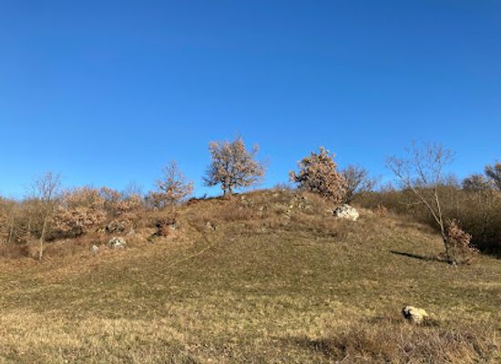 hungary/balaton-uplands/attraction/tolgyes-kup