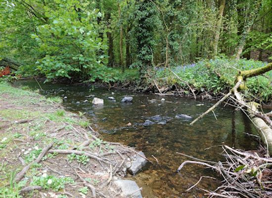 ireland/county-monaghan/attraction/rossmore-forest-park-main-entrance