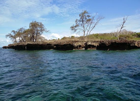 tanzania/northern-zone/attraction/kisite-mpunguti-marine-national-park