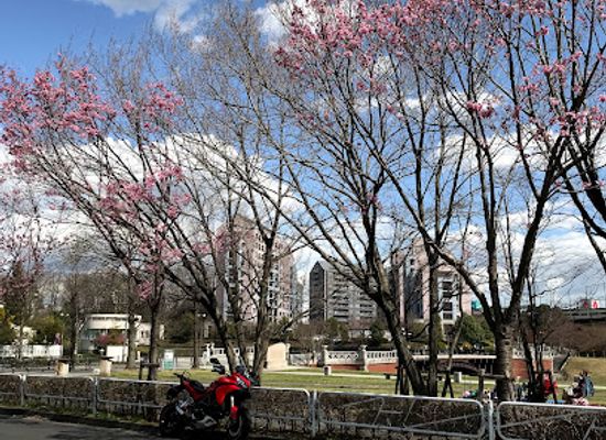 japan/mikawa/attraction/matsuki-park