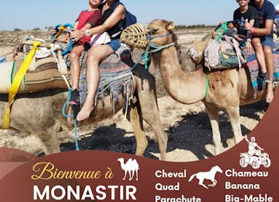 tunisia/northern-tunisia/attraction/activites-touristiques-en-tunisie