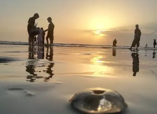 pakistan/karachi/clifton/attraction/seaview-beach