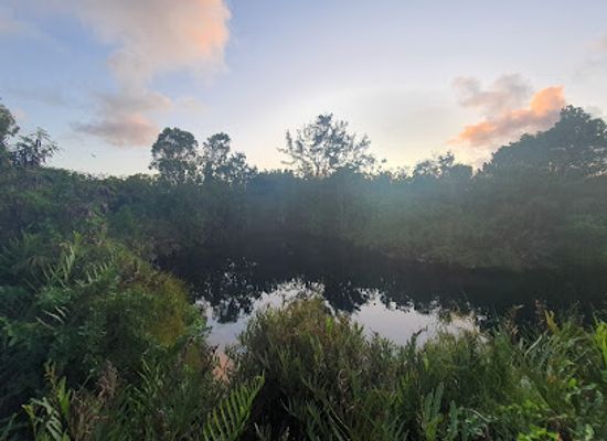 mauritius/flacq/attraction/bassin-laver