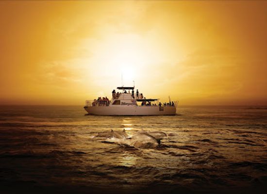 guam/mount-jumullong-manglo/attraction/guam-sunset-cruise-dinner-dolphin-watching