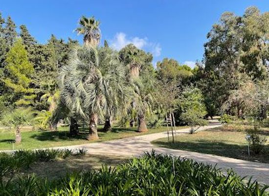 croatia/dubrovnik/attraction/botanical-gardens