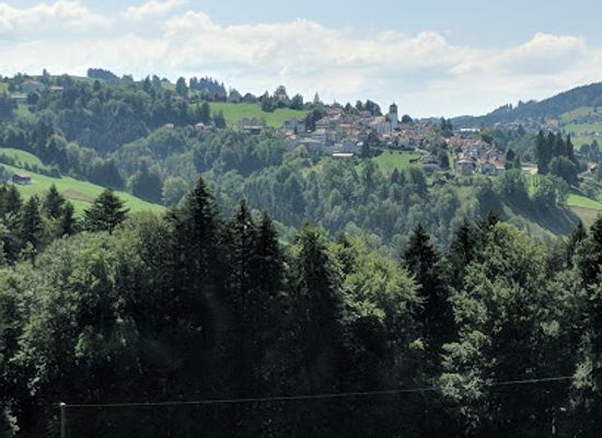 switzerland/appenzell/attraction/jahrhundert-der-zellweger
