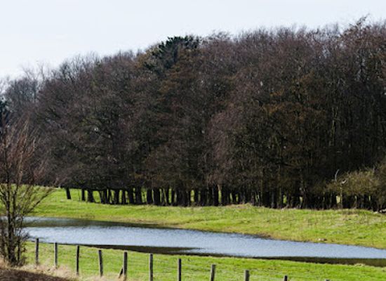 belgium/knokke-heist/attraction/zwindunes-et-polders