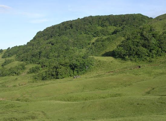 timor-leste/matebian-mountain/attraction/mount-legumau