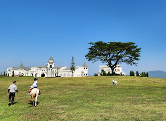 thailand/khao-yai/attraction/my-ozone-animal-club