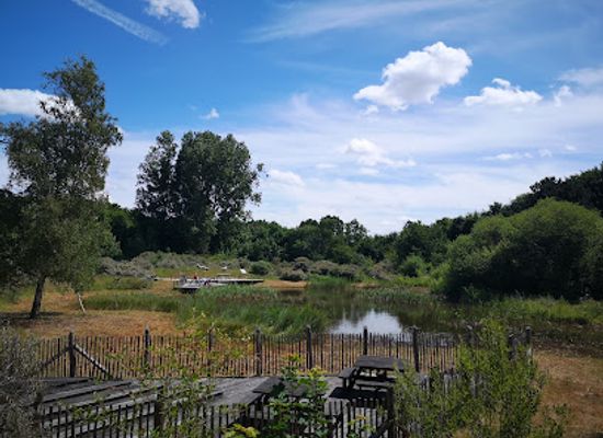 belgium/de-panne/attraction/provinciaal-bezoekerscentrum-duinpanne