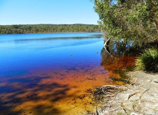 australia/brisbane/attraction/brown-lake-bummel