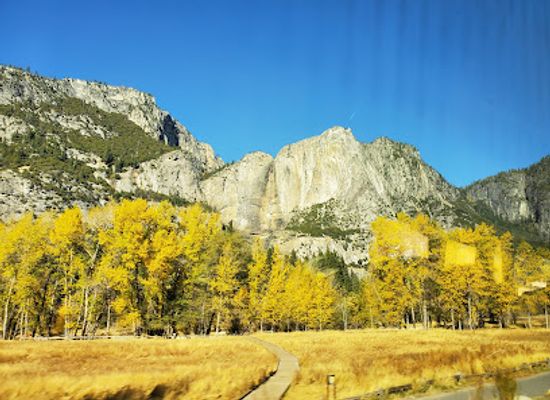california/yosemite-national-park/attraction/yosemite-mountain-sugar-pine-railroad